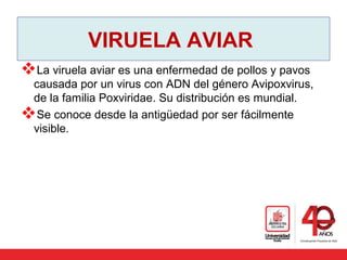 VIRUELA AVIAR 
La viruela aviar es una enfermedad de pollos y pavos 
causada por un virus con ADN del género Avipoxvirus, 
de la familia Poxviridae. Su distribución es mundial.
Se conoce desde la antigüedad por ser fácilmente 
visible.
 