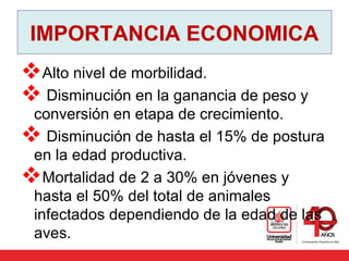 IMPORTANCIA ECONOMICA
Alto nivel de morbilidad.
 Disminución en la ganancia de peso y 
conversión en etapa de crecimiento.
 Disminución de hasta el 15% de postura 
en la edad productiva. 
Mortalidad de 2 a 30% en jóvenes y 
hasta el 50% del total de animales 
infectados dependiendo de la edad de las 
aves. 
 