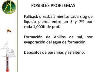 POSIBLES PROBLEMAS

Fallback o resbalamiento: cada slug de
líquido pierde entre un 5 y 7% por
cada 1,000ft de prof.

Formación de Anillos de sal, por
evaporación del agua de formación.

Depósitos de parafinas y asfalteno.
 