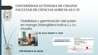 UNIVERSIDAD AUTONOMA DE CHIAPAS
FACULTAD DE CIENCIAS AGRICOLAS C-IV
Viabilidad y germinación del polen
en mango (Mangifera indica L.) cv.
Ataúlfo
DR. MALC RODNEY G. VELEZ
POR WILIAM R. M. SALASEST.ING.AGRONOMO Wiliam Rogelio Morales salas UNACH FCA
 