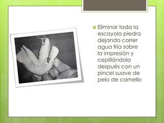  Eliminar
         toda la
 escayola piedra
 dejando correr
 agua fría sobre
 la impresión y
 cepillándola
 después con un
 pincel suave de
 pelo de camello
 
