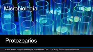 Protozoarios
Carlos Alberto Márquez Montes | Dr. Juan Morales Cruz | ITSZN Ing. En Industrias Alimentarias.
Microbiología
 