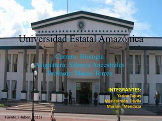 Universidad Estatal Amazónica
Carrera: Biología
Asignatura: Saberes Ancestrales
Profesor: Marco Torres
Fuente: (Huben, 2015)
 