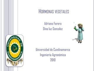 Hormonas vegetales Adriana Forero Dina luz Gonzalez Universidad de Cundinamarca Ingeniería Agronómica 2010 