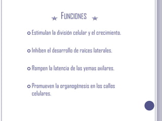FuncionesEstimulan la división celular y el crecimiento.Inhiben el desarrollo de raíces laterales.Rompen la latencia de las yemas axilares.Promueven la organogénesis en los callos  celulares.
