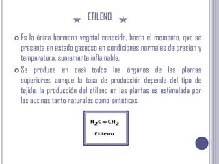 etilenoEs la única hormona vegetal conocida, hasta el momento, que se presenta en estado gaseoso en condiciones normales de presión y temperatura, sumamente inflamable.Se produce en casi todos los órganos de las plantas superiores, aunque la tasa de producción depende del tipo de tejido; la producción del etileno en las plantas es estimulada por las auxinas tanto naturales como sintéticas.