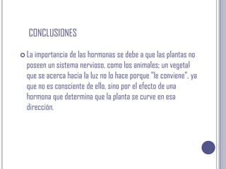 conclusionesLa importancia de las hormonas se debe a que las plantas no poseen un sistema nervioso, como los animales; un vegetal que se acerca hacia la luz no lo hace porque "le conviene", ya que no es consciente de ello, sino por el efecto de una hormona que determina que la planta se curve en esa dirección.