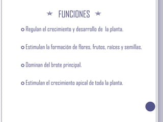 FUNCIONESRegulan el crecimiento y desarrollo de  la planta.Estimulan la formación de flores, frutos, raíces y semillas.Dominan del brote principal.Estimulan el crecimiento apical de toda la planta. 