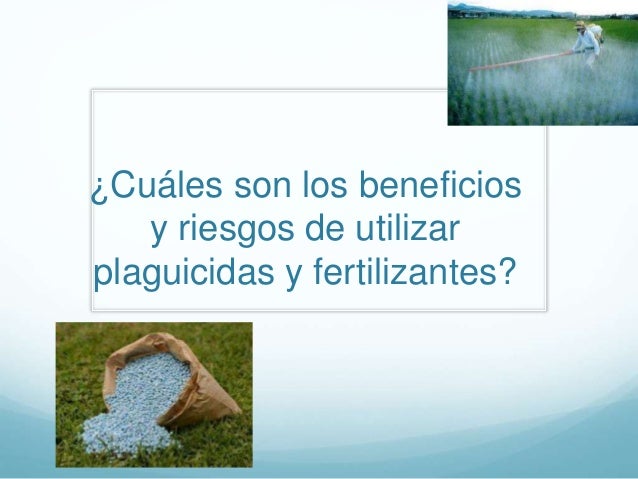 Beneficios y riesgos de utilizar fertilizantes y plaguicidas