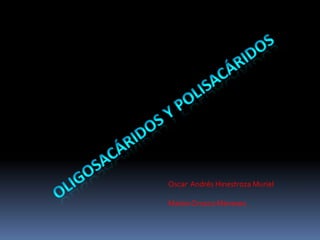 Oligosacáridos y polisacáridos Oscar  Andrés Hinestroza Muriel Mateo Orozco Meneses 