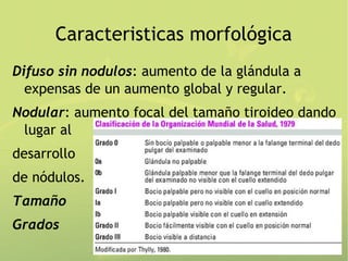 Caracteristicas morfológica
Difuso sin nodulos: aumento de la glándula a
  expensas de un aumento global y regular.
Nodular: aumento focal del tamaño tiroideo dando
 lugar al
desarrollo
de nódulos.
Tamaño
Grados
 