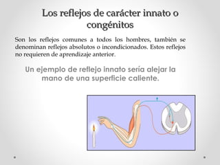 Los reflejos de carácter innato o
congénitos
Son los reflejos comunes a todos los hombres, también se
denominan reflejos absolutos o incondicionados. Estos reflejos
no requieren de aprendizaje anterior.

Un ejemplo de reflejo innato sería alejar la
mano de una superficie caliente.

 