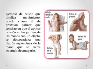 Ejemplo de reflejo que
implica
movimiento,
puede citarse el de
prensión palmar que
consiste en que al aplicar
presión en las palmas de
las manos con un objeto,
se desencadena una
flexión espontánea de la
mano que se cierra
tratando de atraparlo.

 
