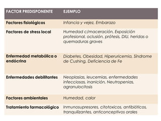 FACTOR PREDISPONENTE EJEMPLO
Factores fisiológicos Infancia y vejez, Embarazo
Factores de stress local Humedad c/maceración, Exposición
profesional, oclusión, prótesis, DIU, heridas o
quemaduras graves
Enfermedad metabólica o
endócrina
Diabetes, Obesidad, Hiperuricemia, Síndrome
de Cushing, Deficiencia de Fe
Enfermedades debilitantes Neoplasias, leucemias, enfermedades
infecciosas, inanición, Neutropenias,
agranulocitosis
Factores ambientales Humedad, calor
Tratamiento farmacológico Inmunosupresores, citotoxicos, antibióticos,
tranquilizantes, anticonceptivos orales
 