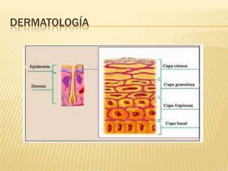 DERMATOLOGÍA
 
