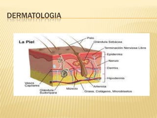 DERMATOLOGIA
 