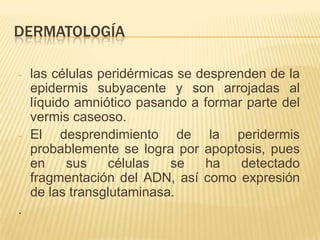 DERMATOLOGÍA

-   las células peridérmicas se desprenden de la
    epidermis subyacente y son arrojadas al
    líquido amniótico pasando a formar parte del
    vermis caseoso.
-   El desprendimiento de la peridermis
    probablemente se logra por apoptosis, pues
    en     sus   células    se   ha    detectado
    fragmentación del ADN, así como expresión
    de las transglutaminasa.
.
 