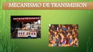 MECANISMO DE TRANSMISION 
 