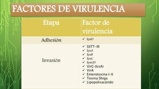 FACTORES DE VIRULENCIA 
Etapa Factor de 
virulencia 
Adhesión  IpaD 
Invasión 
 SSTT-lll 
 IpaA 
 IpaB 
 IpaC 
 IpaGD 
 VirG (IcsA) 
 VirA 
 Enterotoxina I-II 
 Toxina Shiga 
 Lipopolisacárido 
Evasión IpaC 
 