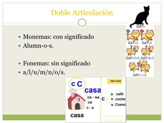 Doble Articulación
 Monemas: con significado
 Alumn-o-s.
 Fonemas: sin significado
 a/l/u/m/n/o/s.
 