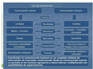Psicología social de los grupos