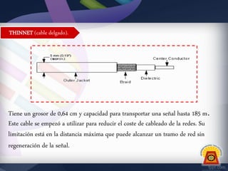 THINNET (cable delgado).

Tiene un grosor de 0,64 cm y capacidad para transportar una señal hasta 185 m.
Este cable se empezó a utilizar para reducir el coste de cableado de la redes. Su
limitación está en la distancia máxima que puede alcanzar un tramo de red sin
regeneración de la señal.

 