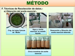 F. Técnicas de Recolección de datos.-
a) Obtención del aceite esencial.-
MÉTODO
5 kg. de hojas frescas
de “Molle”
Agua y aceite
esencial, en estado
líquido
Desecación y filtración del
aceite esencial obtenido
Cinco muestras de aceite
esencial
 