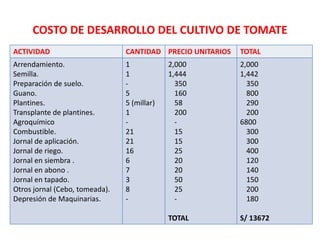 COSTO DE DESARROLLO DEL CULTIVO DE TOMATE
ACTIVIDAD                       CANTIDAD PRECIO UNITARIOS   TOTAL
Arrendamiento.                  1            2,000          2,000
Semilla.                        1            1,444          1,442
Preparación de suelo.           -              350            350
Guano.                          5              160            800
Plantines.                      5 (millar)     58             290
Transplante de plantines.       1              200            200
Agroquímico                     -              -            6800
Combustible.                    21             15             300
Jornal de aplicación.           21             15             300
Jornal de riego.                16             25             400
Jornal en siembra .             6              20             120
Jornal en abono .               7              20             140
Jornal en tapado.               3              50             150
Otros jornal (Cebo, tomeada).   8              25             200
Depresión de Maquinarias.       -              -              180

                                             TOTAL          S/ 13672
 