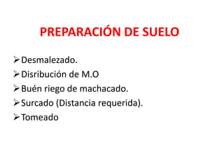 PREPARACIÓN DE SUELO
Desmalezado.
Disribución de M.O
Buén riego de machacado.
Surcado (Distancia requerida).
Tomeado
 
