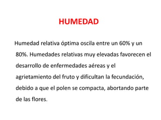 HUMEDAD

Humedad relativa óptima oscila entre un 60% y un
80%. Humedades relativas muy elevadas favorecen el
desarrollo de enfermedades aéreas y el
agrietamiento del fruto y dificultan la fecundación,
debido a que el polen se compacta, abortando parte
de las flores.
 