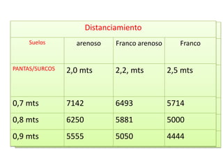 Distanciamiento
                      Riego por gravedad
     Suelos
       Suelos       arenoso
                     arenoso   Franco arenoso
                                 Franco arenoso   Franco
                                                    Franco


PANTAS/SURCOS
  PANTAS/SURCOS   2,0 mts      2,2, mts       2,5 mts
                   2,0 mts      2,2, mts       2,5 mts


0,7 mts
 0,7 mts          7142
                   7142        6493
                                6493          5714
                                               5714
0,8 mts
 0,8 mts          6250
                   6250        5881
                                5881          5000
                                               5000
0,9 mts
 0,9 mts          5555
                   5555        5050
                                5050          4444
                                               4444
 