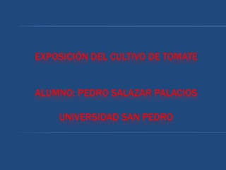 EXPOSICIÓN DEL CULTIVO DE TOMATE


ALUMNO: PEDRO SALAZAR PALACIOS

    UNIVERSIDAD SAN PEDRO
 