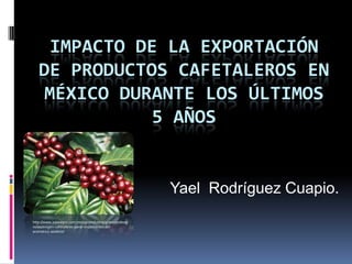 IMPACTO DE LA EXPORTACIÓN
   DE PRODUCTOS CAFETALEROS EN
    MÉXICO DURANTE LOS ÚLTIMOS
              5 AÑOS


                                                         Yael Rodríguez Cuapio.
http://www.2000agro.com.mx/agroindustria/granosyoleagi
nosas/exigen-cafetaleros-parar-importacion-del-
aromatico-asiatico/
 