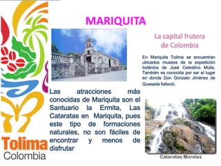 MARIQUITA

                                En Mariquita Tolima se encuentran
                                ubicados museos de la expedición
                                botánica de José Celestino Mutis.
                                También es conocida por ser el lugar
                                en donde Don Gonzalo Jiménez de
                                Quesada falleció.
Las        atracciones   más
conocidas de Mariquita son el
Santuario la Ermita, Las
Cataratas en Mariquita, pues
este tipo de formaciones
naturales, no son fáciles de
encontrar      y   menos  de
disfrutar.
 
