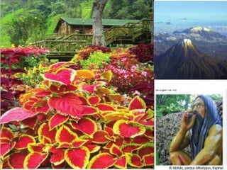 Exposicion de turismo