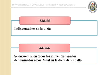 UNIVERSIDAD AUTÓNOMA GABRIEL RENÉ MORENO




                   SALES

 Indispensables en la dieta




                  AGUA

 Se encuentra en todos los alimentos, aún los
 denominados secos. Vital en la dieta del caballo.
 