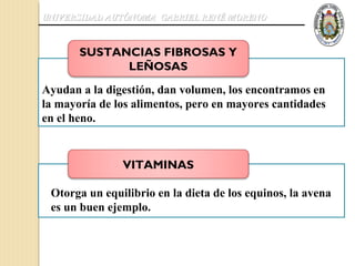 UNIVERSIDAD AUTÓNOMA GABRIEL RENÉ MORENO



       SUSTANCIAS FIBROSAS Y
             LEÑOSAS
Ayudan a la digestión, dan volumen, los encontramos en
la mayoría de los alimentos, pero en mayores cantidades
en el heno.


               VITAMINAS

 Otorga un equilibrio en la dieta de los equinos, la avena
 es un buen ejemplo.
 