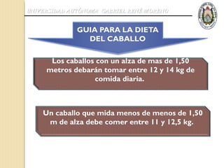 UNIVERSIDAD AUTÓNOMA GABRIEL RENÉ MORENO




      Los caballos con un alza de mas de 1,50
     metros debarán tomar entre 12 y 14 kg de
                  comida diaria.



    Un caballo que mida menos de menos de 1,50
     m de alza debe comer entre 11 y 12,5 kg.
 