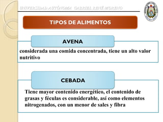 UNIVERSIDAD AUTÓNOMA GABRIEL RENÉ MORENO




                 AVENA
considerada una comida concentrada, tiene un alto valor
considerada una comida concentrada, tiene un alto
valor nutritivo
nutritivo



                 CEBADA

  Tiene mayor contenido energético, el contenido de
  grasas y féculas es considerable, así como elementos
  nitrogenados, con un menor de sales y fibra
 