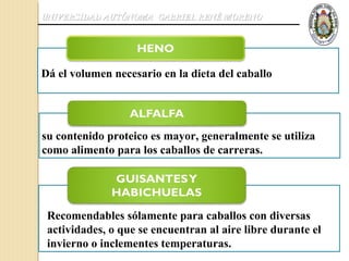 UNIVERSIDAD AUTÓNOMA GABRIEL RENÉ MORENO




Dá el volumen necesario en la dieta del caballo




su contenido proteico es mayor, generalmente se utiliza
como alimento para los caballos de carreras.




 Recomendables sólamente para caballos con diversas
 actividades, o que se encuentran al aire libre durante el
 invierno o inclementes temperaturas.
 