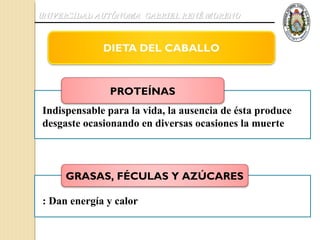 UNIVERSIDAD AUTÓNOMA GABRIEL RENÉ MORENO




              PROTEÍNAS
Indispensable para la vida, la ausencia de ésta produce
desgaste ocasionando en diversas ocasiones la muerte



     GRASAS, FÉCULAS Y AZÚCARES

: Dan energía y calor
 