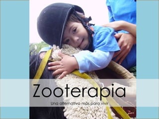 Z
ZooterapiaUna alternativa más para vivir
 