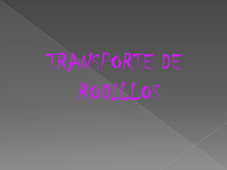 TRANSPORTE DE RODILLOS