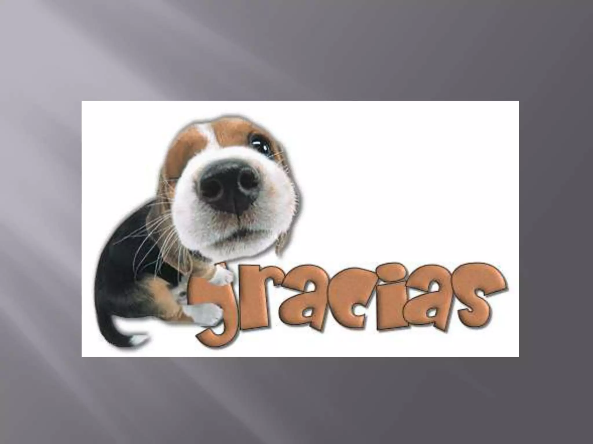 Exposicion diseño organizacional