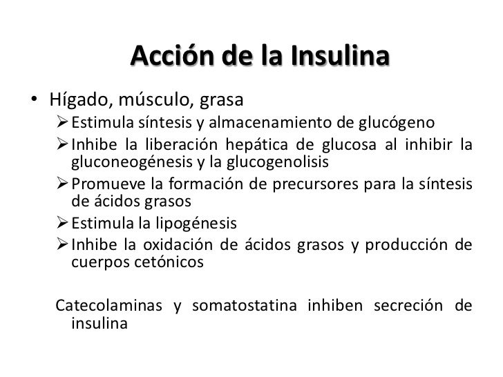 Diabetes Mellitus tipo 2 Diabetes Mellitus tipo 2