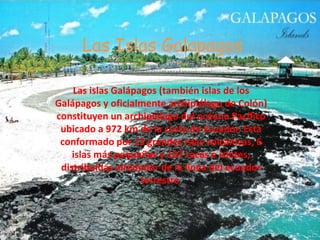 Las Islas Galapagos

    Las islas Galápagos (también islas de los
Galápagos y oficialmente archipiélago de Colón)
constituyen un archipiélago del océano Pacífico
 ubicado a 972 km de la costa de Ecuador. Está
 conformado por 13 grandes islas volcánicas, 6
    islas más pequeñas y 107 rocas e islotes,
 distribuidas alrededor de la línea del ecuador
                    terrestre.
 