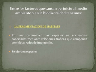 1. LA FRAGMENTACIÓN DE HÁBITATS
 En una comunidad, las especies se encuentran
conectadas mediante relaciones tróficas que componen
complejas redes de interacción.
 Se pierden especies
 