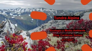 Ecologia y Medio Ambiente
Elias Cardenas Gomez
5/17/2021
Tundra Alpina
 