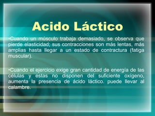 Acido Láctico Cuando un músculo trabaja demasiado, se observa que pierde elasticidad; sus contracciones son más lentas, más amplias hasta llegar a un estado de contractura (fatiga muscular). Cuando el ejercicio exige gran cantidad de energía de las células y estas no disponen del suficiente oxígeno, aumenta la presencia de ácido láctico.  puede llevar al calambre. 