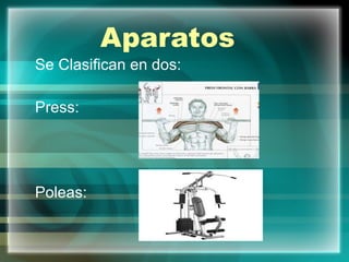 Aparatos Se Clasifican en dos: Press: Poleas: 